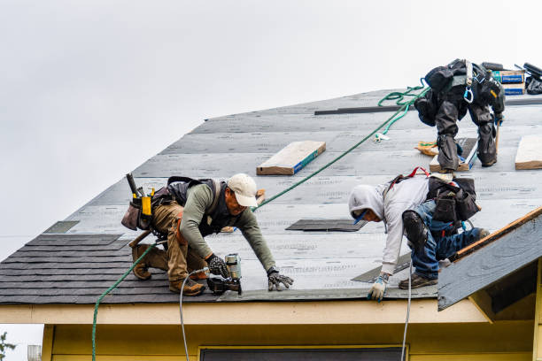 Professional Roofing technician working in Key Largo, FL